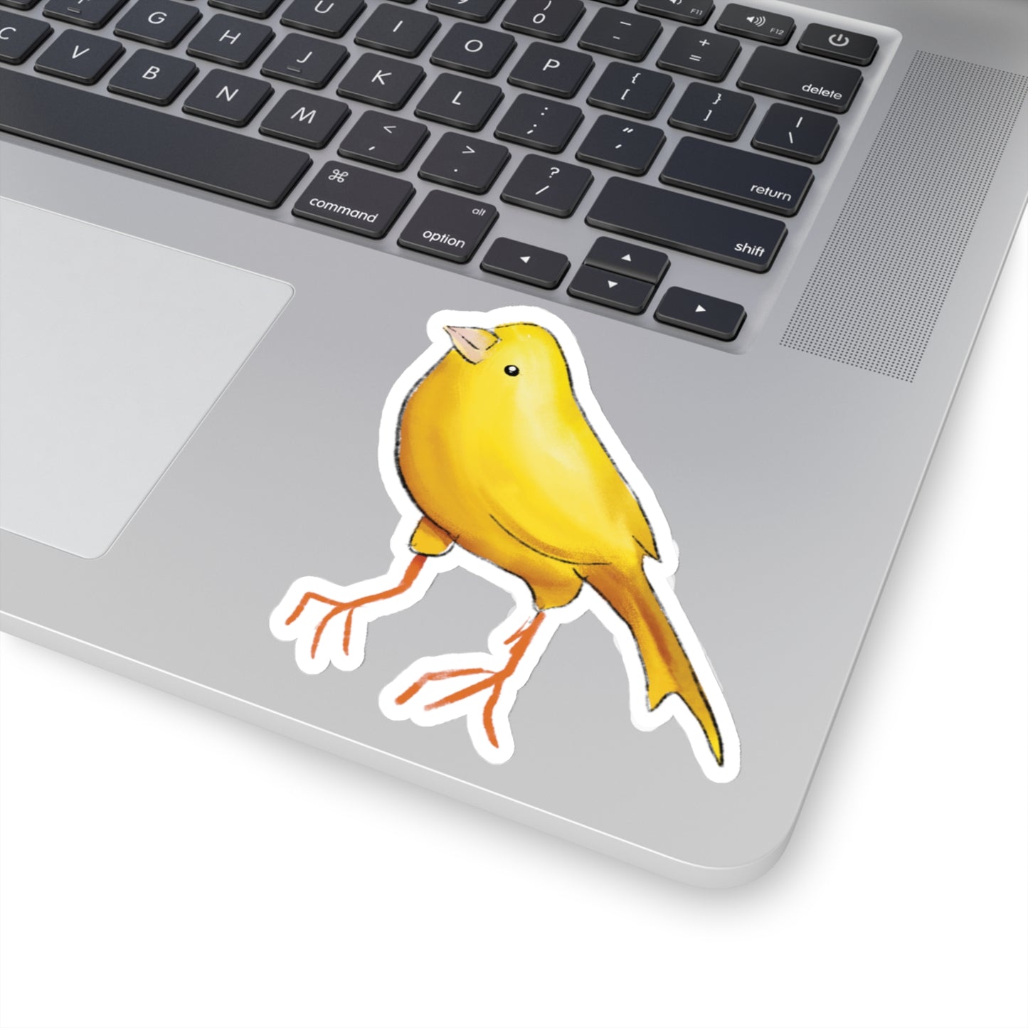 Finch Drawing Sticker