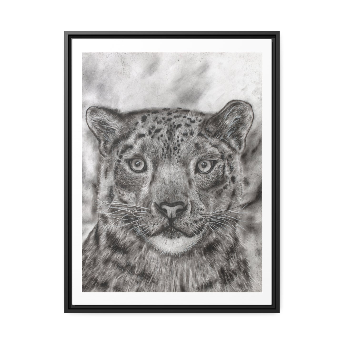 Snow Leopard Drawing Framed Art Print