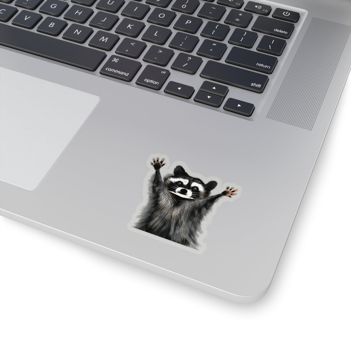 Cute Raccoon Sticker