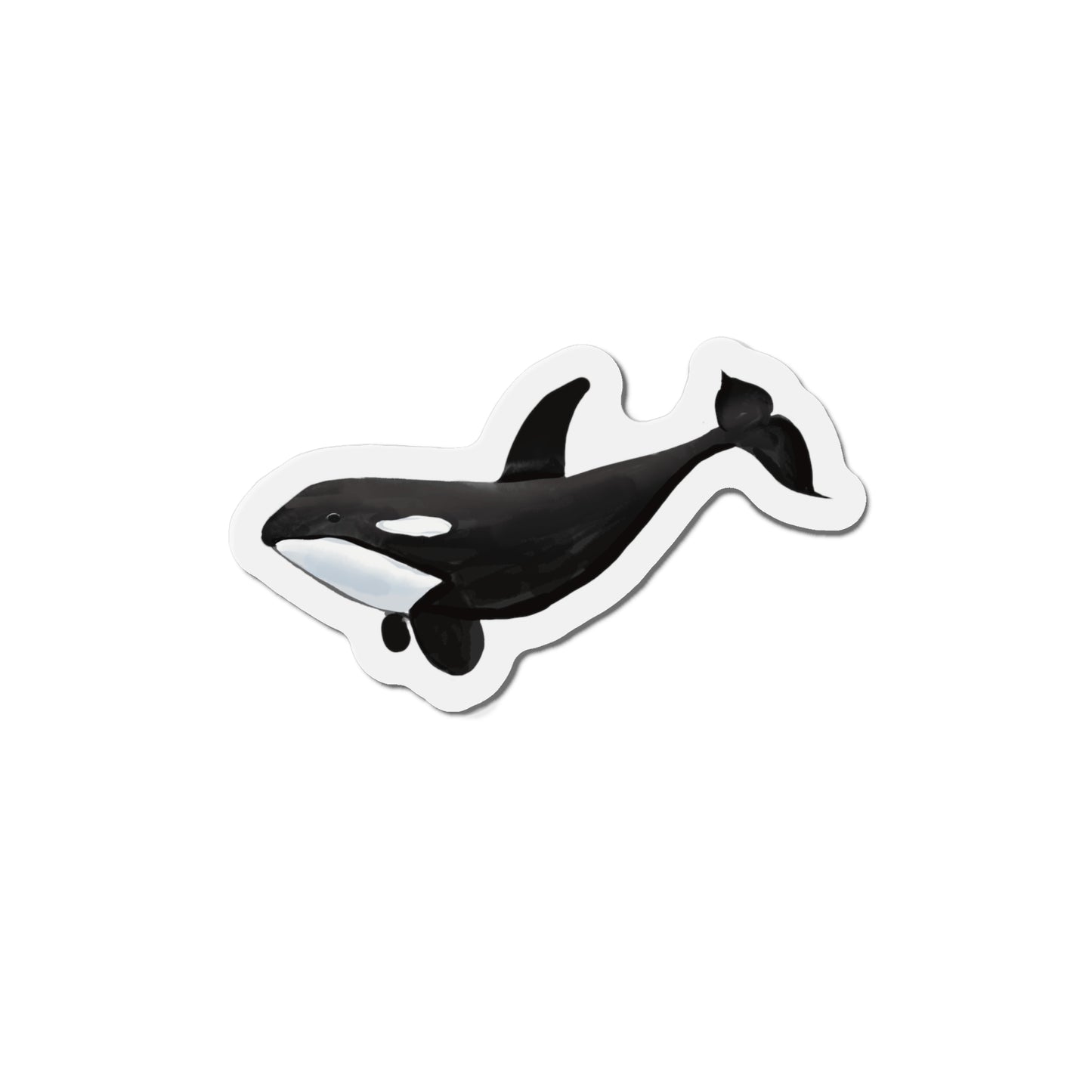 Orca Whale Magnet