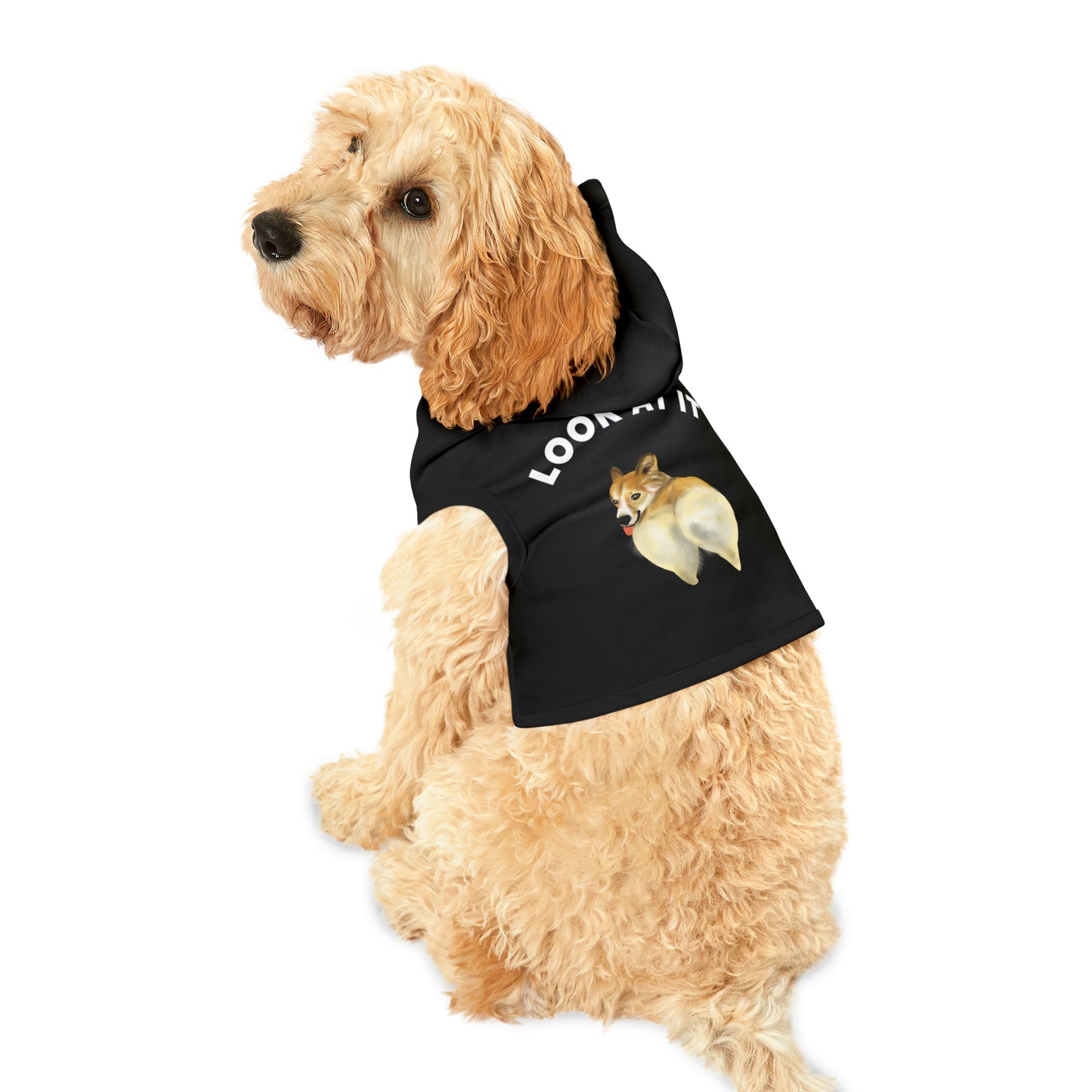 Funny Corgi Pet Hoodie