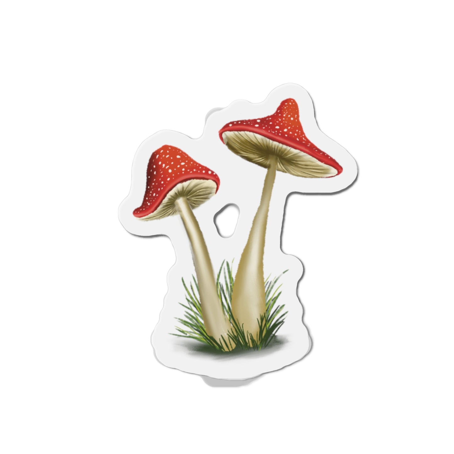 Mushroom Magnet