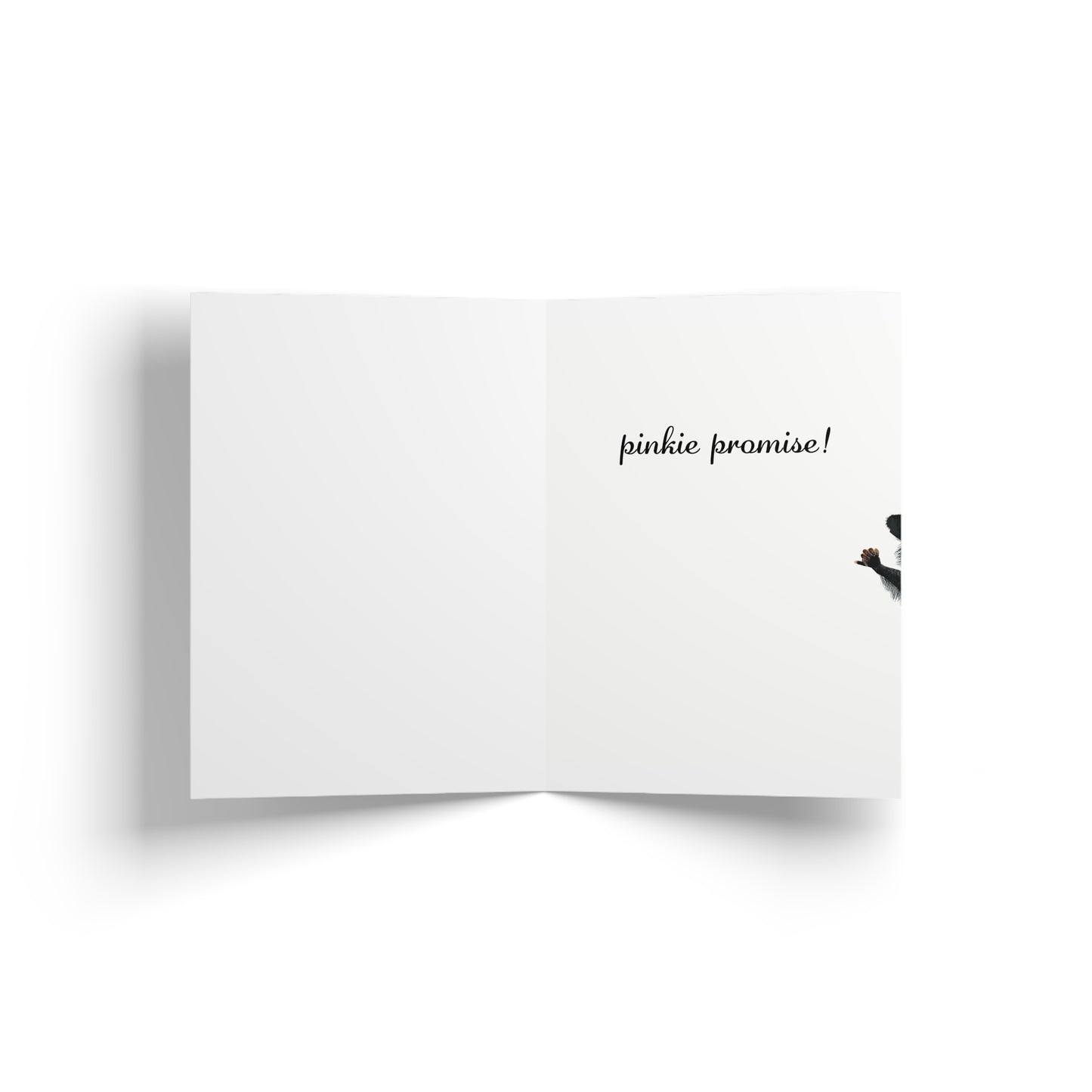 Racoon Greeting Card