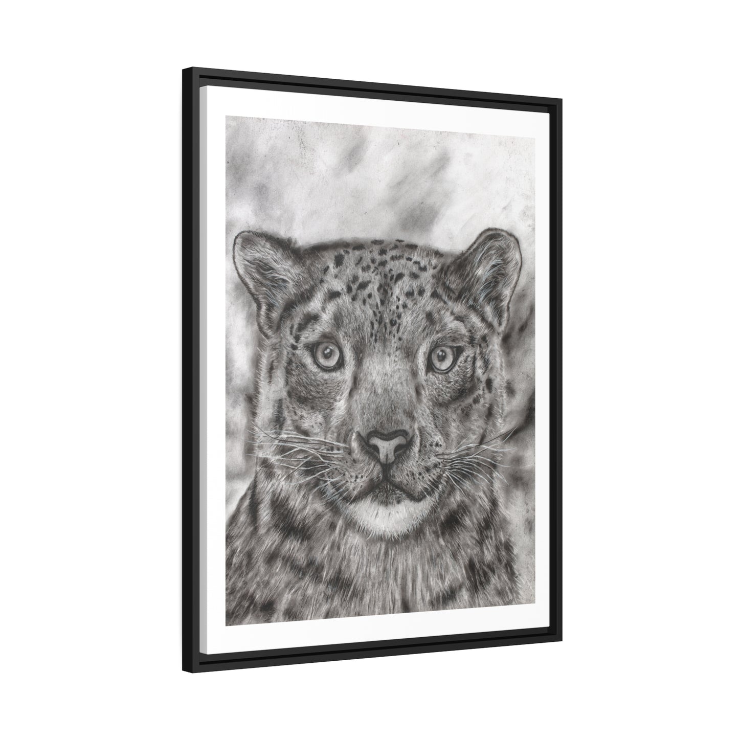 Snow Leopard Drawing Framed Art Print