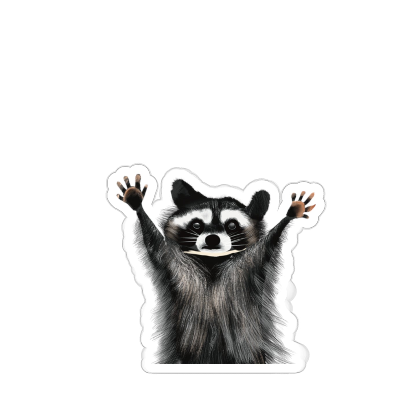 Cute Raccoon Sticker