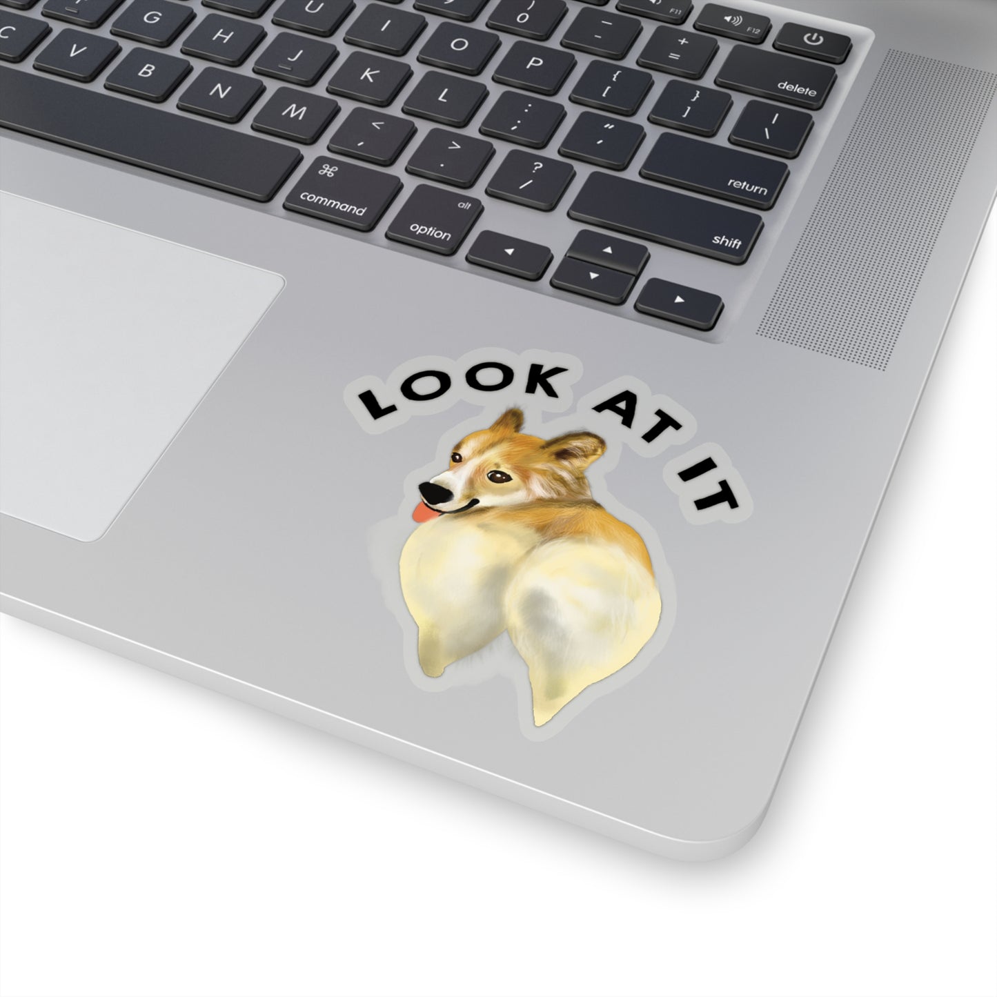 Funny Corgi Lover Sticker