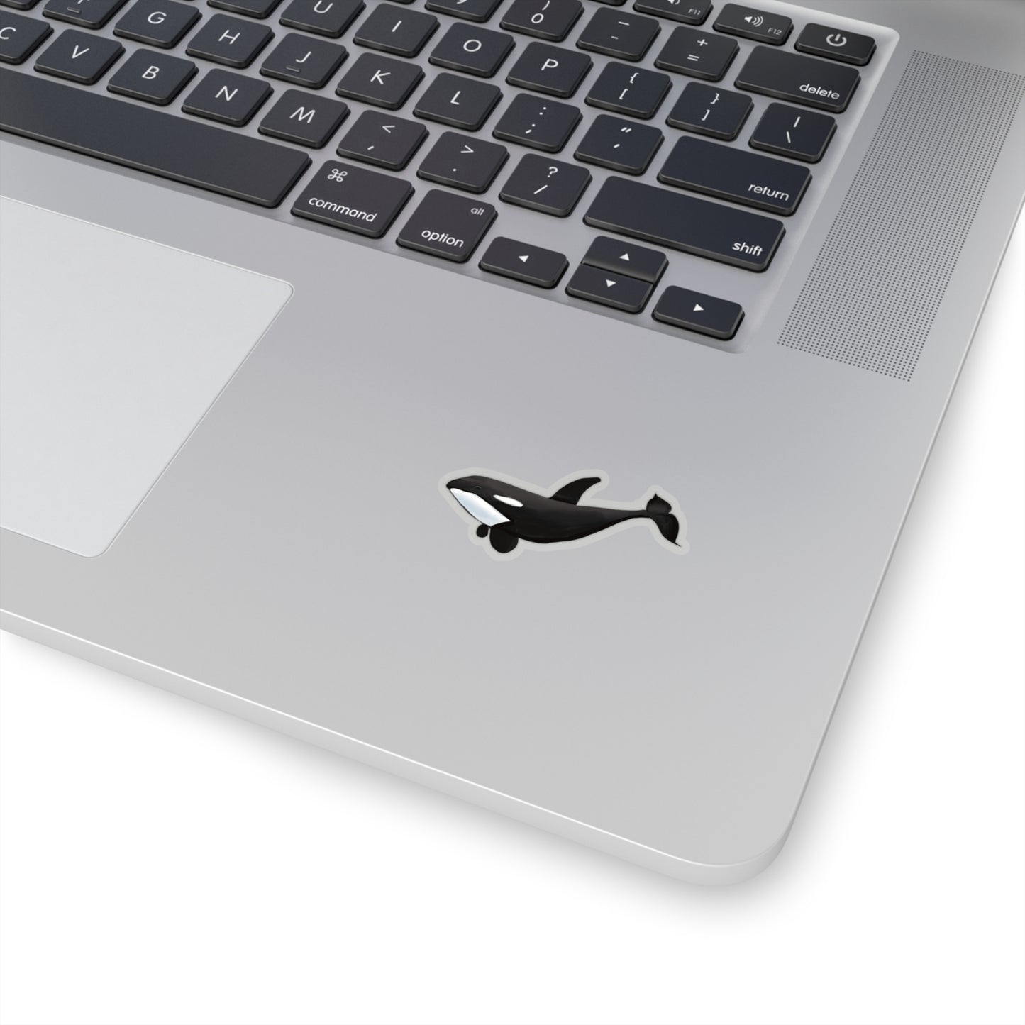 Orca Whale Sticker