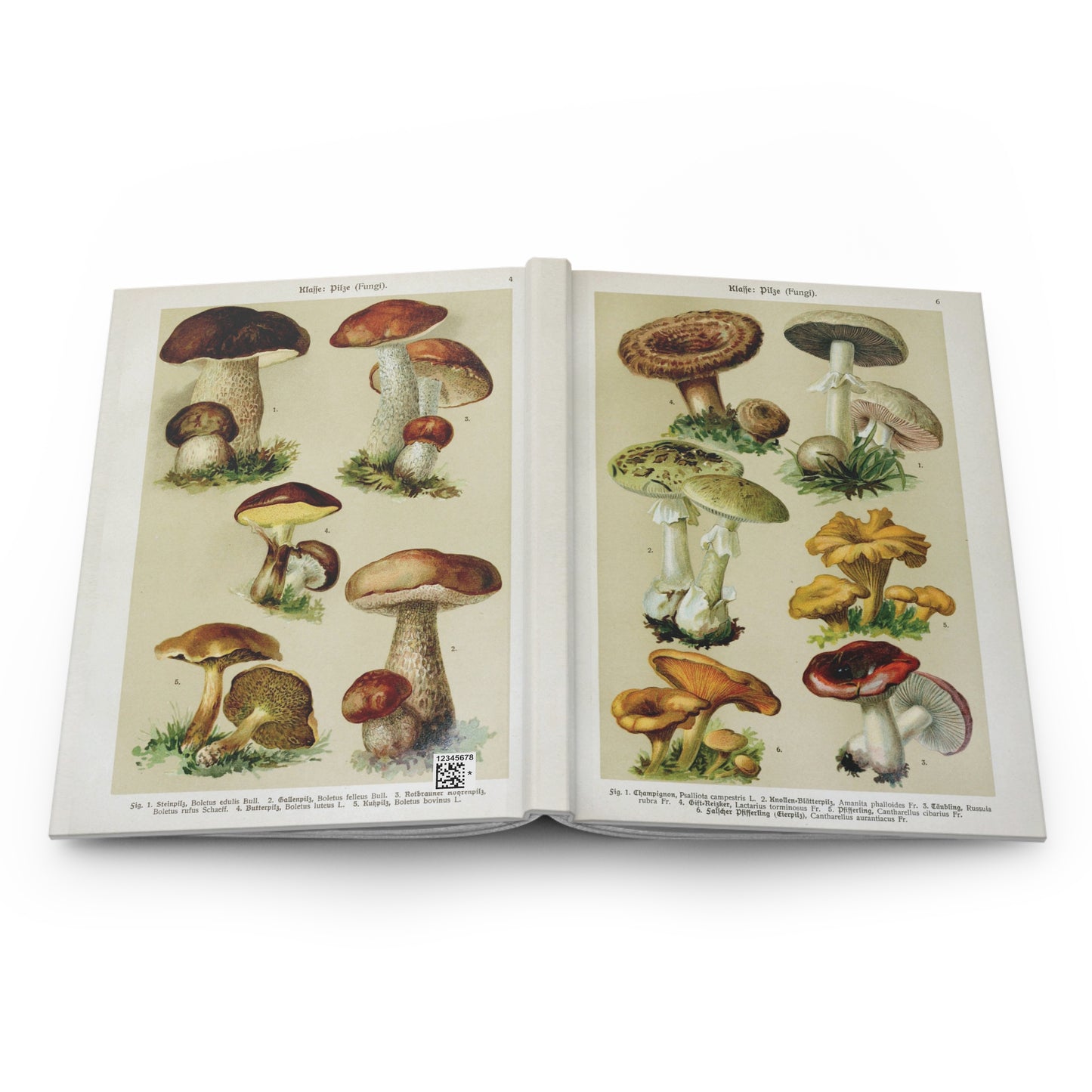 Vintage mushroom Journal, Antique mushroom Hard cover illustration journal cool, pretty mushroom vintage retro botanical art print journal,