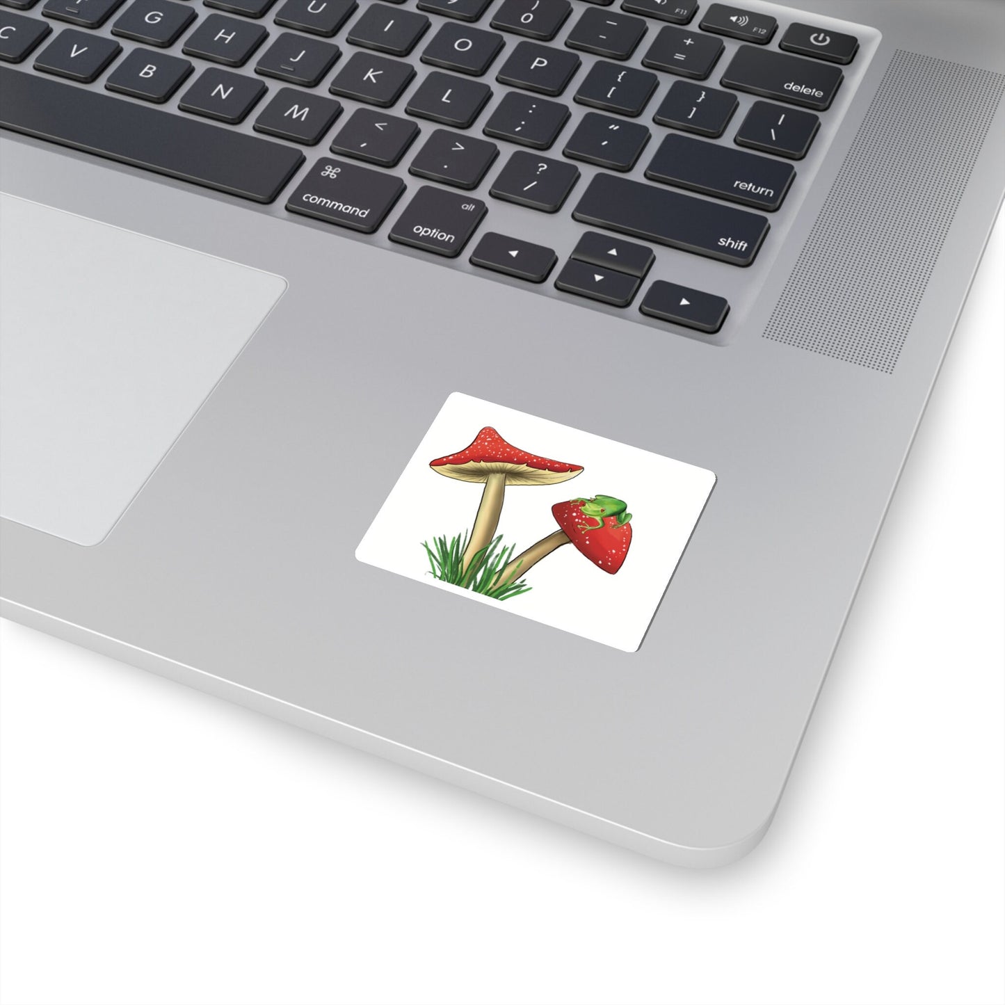 Frog on Shroom Sticker, Mushroom Sticker frog, Frog Lover Sticker, Sticker for mushroom/ frog Vinyl lover