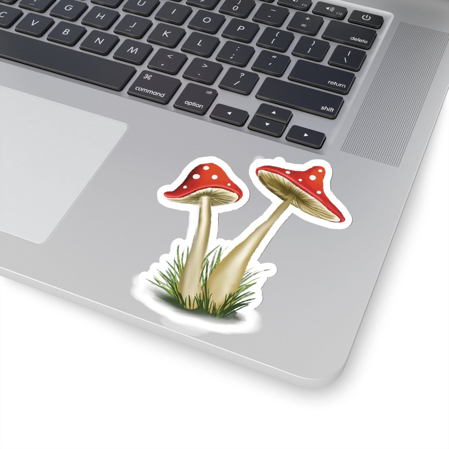 Mushroom Sticker Cute Pretty Red Mushroom, Mushroom Art illustration, Cute Pretty Colorful mushroom art