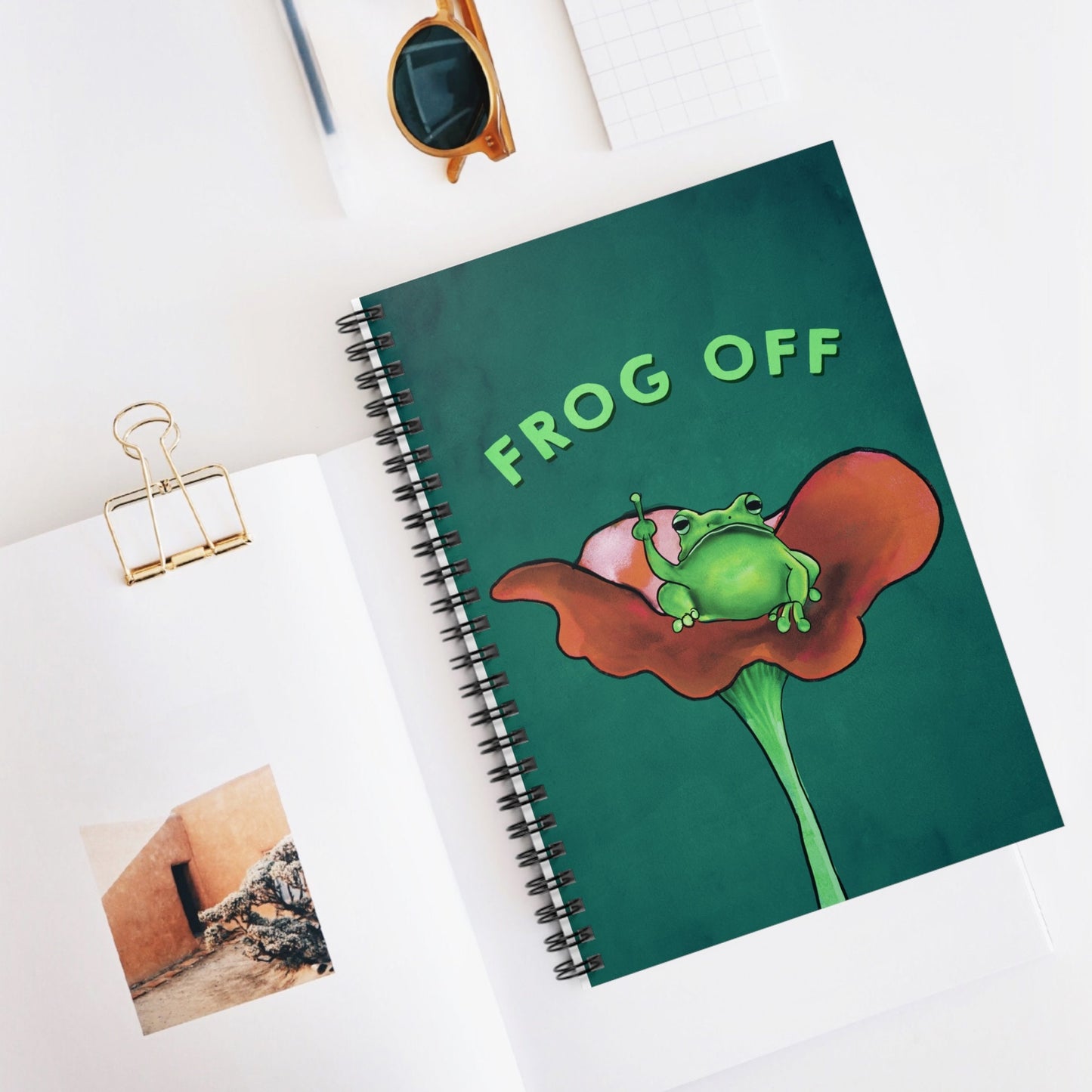 Cute funny frog journal, back to school journal, Frogcore Journal, Pretty Cute Funny journal, spiral Notebook Illustration Frog Lover