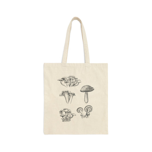 Mushroom fungi Illustration Drawing Cotton Canvas Tote Bag, cute mushroom lover gift, reusable tote, mushroom art, mushroom drawing